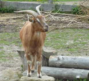 Karls Erlebnishof-Warnsdorf