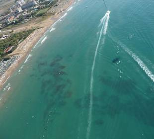 Korallenriff am Strand vor dem Ceasars