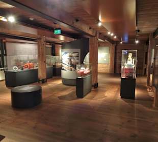 Rundgang durch die Abteilung "Expedition Meer"