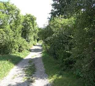 Wanderweg Ammerbucher Gigeleswegle