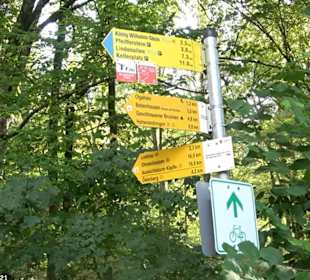 Wanderung Kirnberg-Runde Bebenhausen