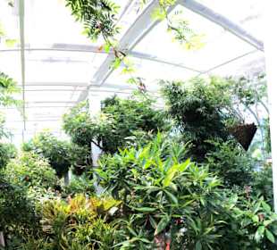 Key West Butterfly & Nature Conservatory