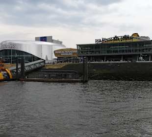 Musical König der Löwen