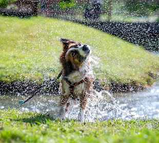 Wandern Ramsau am Dachstein