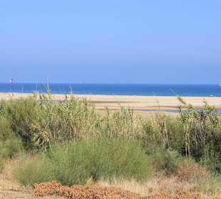 Blick in das Naturschutzgebiet