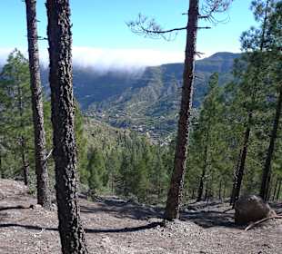 Umgebung von Roque Nublo
