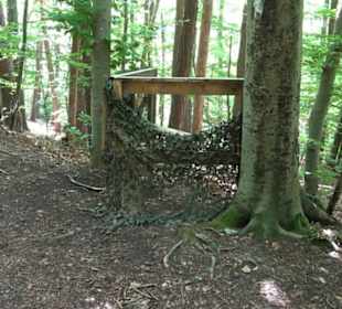 Wanderweg - Alter Steinbruch Pfaffenberg Runde