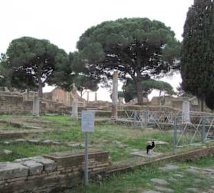 Linksseitg der Hauptstrasse