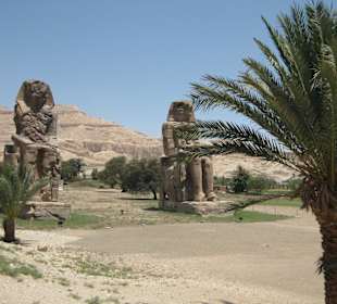 Memnon Kolosse