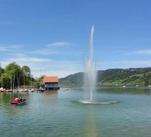 Großer Alpsee