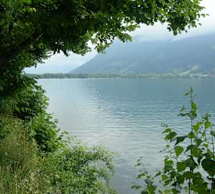 Zeller See