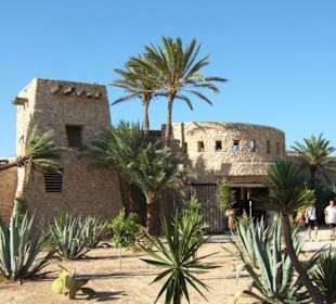 Ausflug zur Krokodilfarm