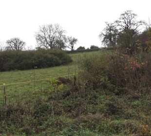 Naturschutzgebiet Listhof