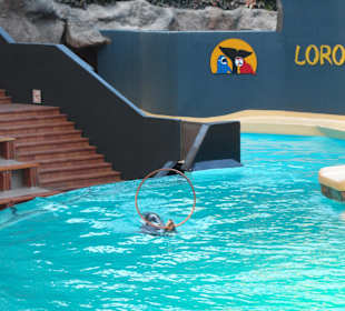 Loro Parque 