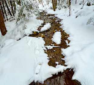 Wandern Drachselsried