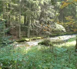 Wunderbare Wanderung am Großen Regen