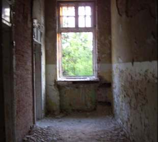 Zakład dla Nerwowo i Psychicznie Chorych Żydów Zofiówka