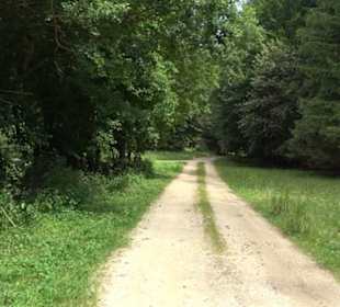 Wanderung Froschteich-Tour