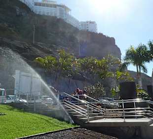 Strand Playa de Amadores