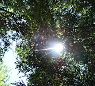 Klettergebiet Mazet-Plage