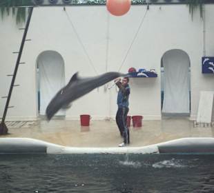 Delphinarium in Varna