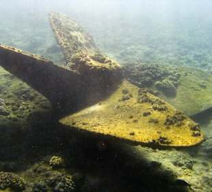 Schiffsschraube der Lovilla