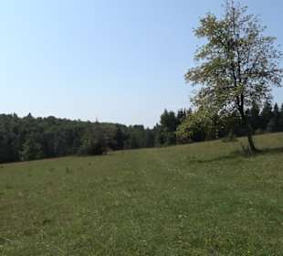 Premiumwanderweg "hochgesprudelt"