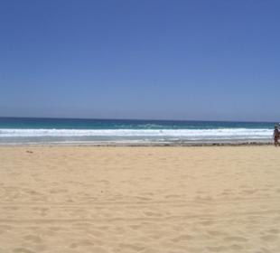 Parco naturale delle dune