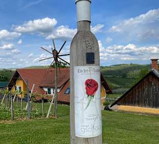 Wandern Bad Radkersburg