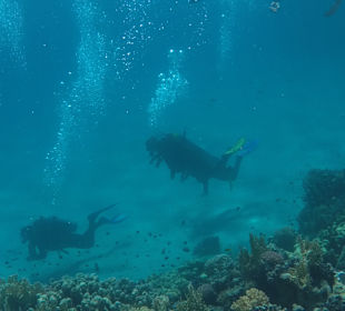 Tauchen Marsa Alam