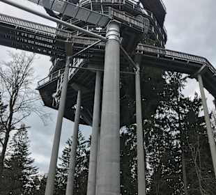 Waldwipfelweg St Englmar/Maibrunn