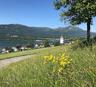Wolfgangsee