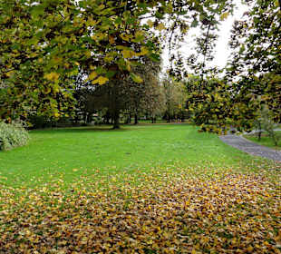 Impressionen aus dem herbstlichen Schlosspark