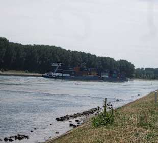 Am Rhein in Germersheim Niedrigwasser