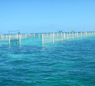 Marinarium "Außengehege"