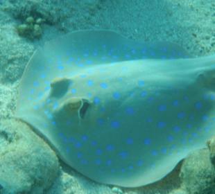 Morgens um sechs rechts von der Marina...