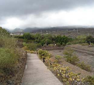 Die Pyramiden von Güimar