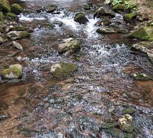 Wandern Drachselsried
