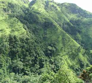 Elefantenreiten Sigiriya
