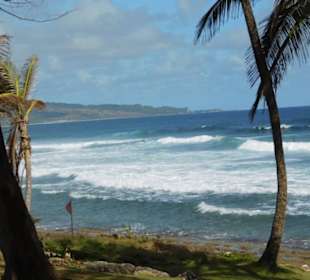 Inselrundfahrt auf Barbados