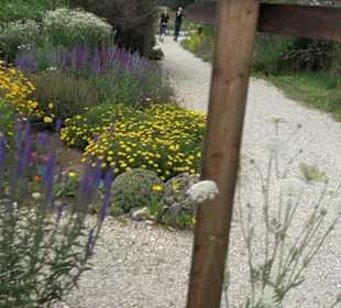 ALB-GOLD Naturgarten