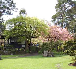 Jardin japonés