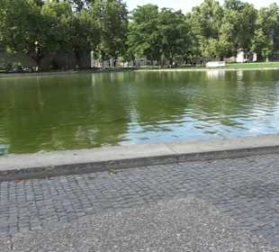 Eckensee