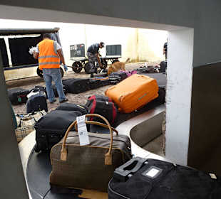 Erst geht der Hund drüber, also Tapsen drauf