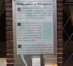 Bibelgarten am Dom