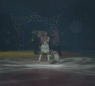 Eisshow