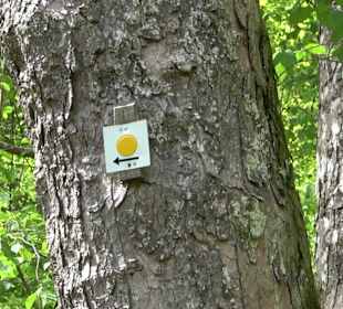 Wandertour durchs Reissenbachtal Oberhausen