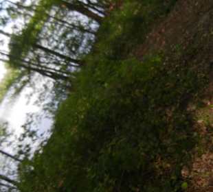 Naturschutzgebiet Boberger Niederung