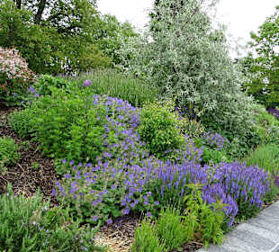 Badgarten Überlingen