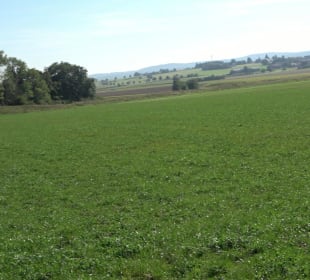 Kelten-Erlebnis-Pfad Erkenbrechtsweiler